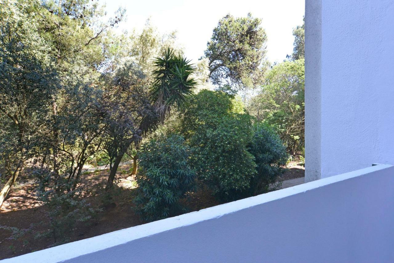 Tropical View Cascais - Checkinhome Bagian luar foto